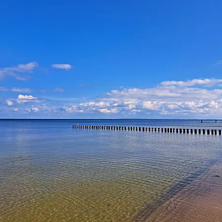 Kopp * Heringsdorf (Usedom)