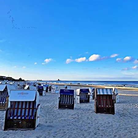 Kopp * Heringsdorf (Usedom)